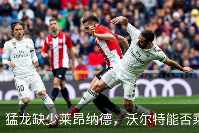 猛龙缺少莱昂纳德，沃尔特能否乘风破浪？